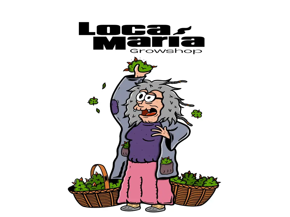 locamaria